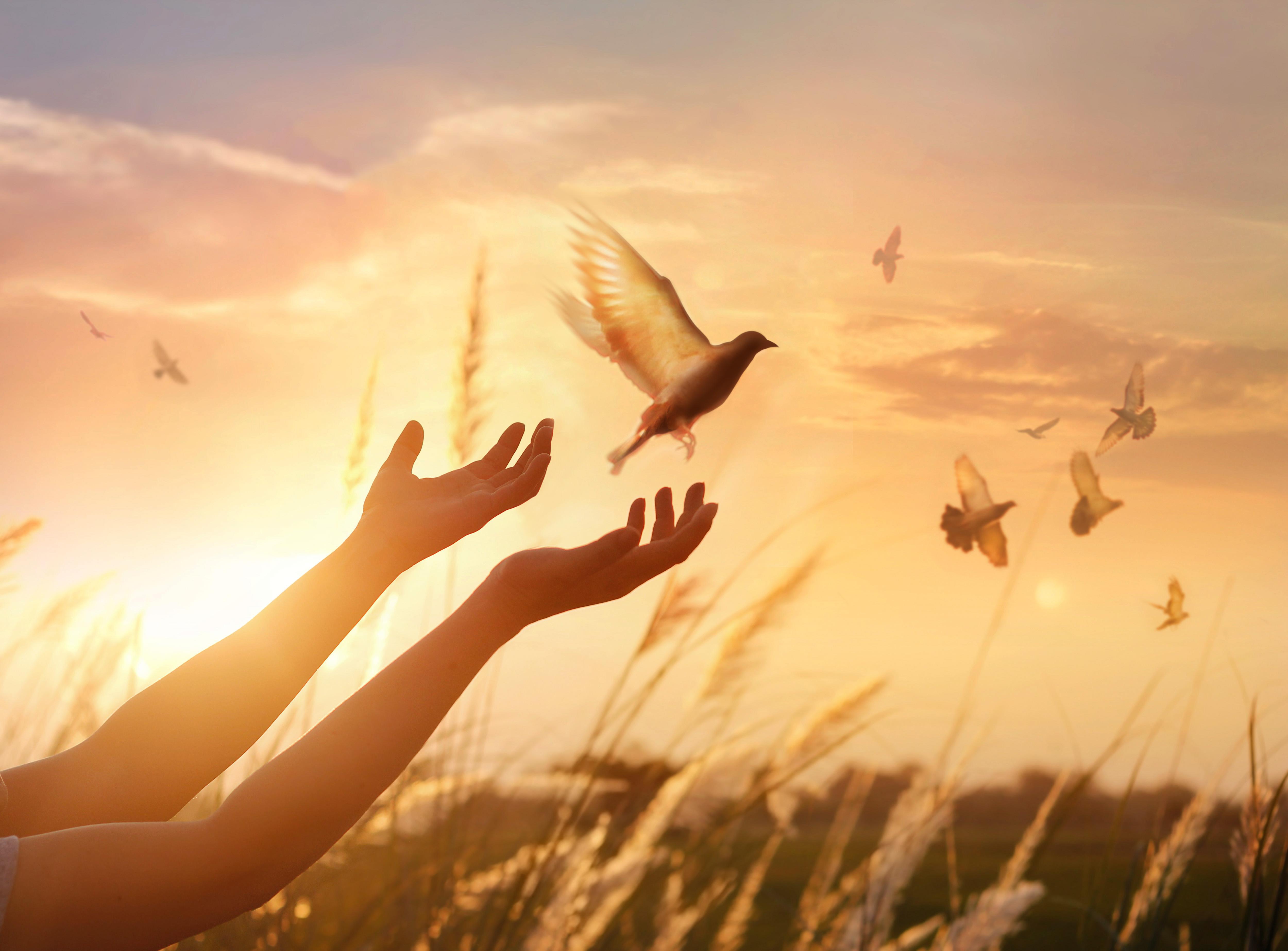 Vergebung als spirituelle Praxis: Ein Anfängerhandbuch
