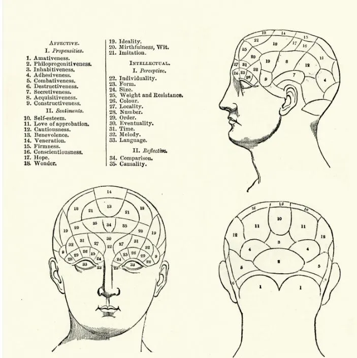 Phrenology