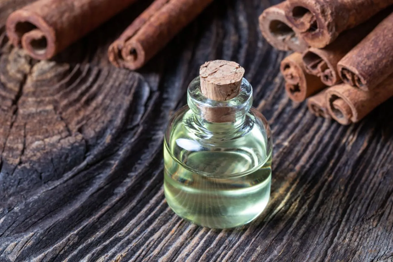 Cinnamon oil