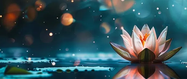 Koan Meditation