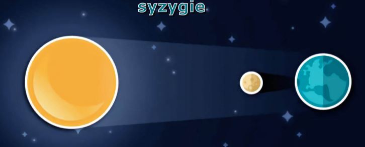 Syzygie